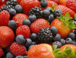 Food with antioxidants - Recipes and cookbook online