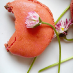 Macarons di Kristina Gašpar | Ricette e libri di cucina online - Cosa dovrei cucinare oggi? 10