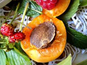 Ensalada de frutas - de Kristina Gašpar - Recetas y libro de cocina online
